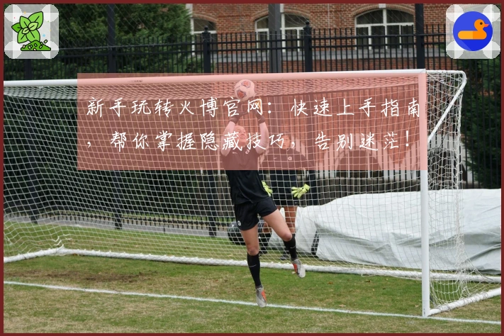 新手玩转火博官网：快速上手指南，帮你掌握隐藏技巧，告别迷茫！