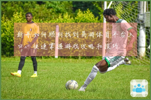 新手如何顺利找到易游体育平台入口，快速掌握游戏攻略和技巧